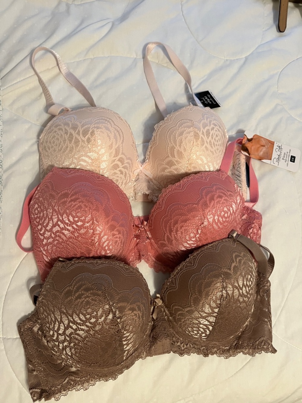 NWT Rene Rofe Lace Push-Up Bra - Pink, Rose, Brown 40C